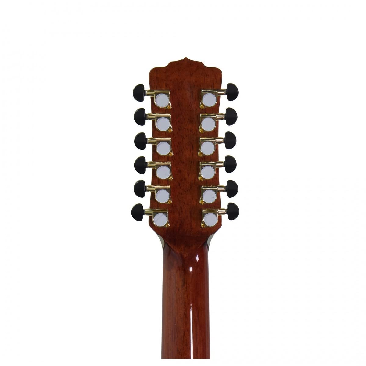 ギター LUNA GUITARS VISTA EAGLE VISTA EAGLE A/E WITH HARDSHELL CASE